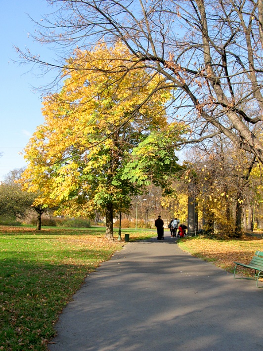 Pałac Królikarnia w Warszawie - w parku
