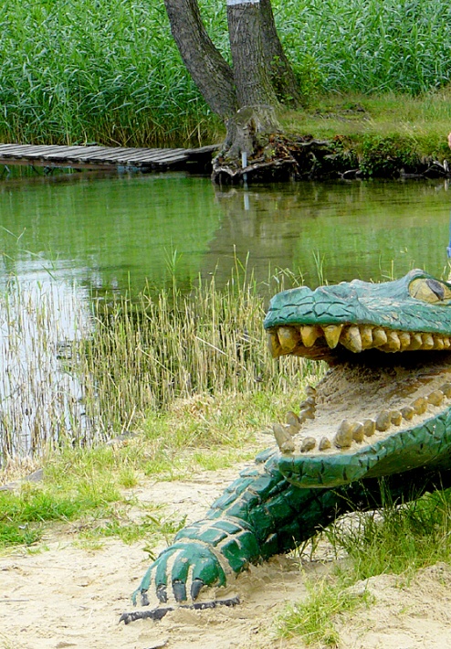 Krokodyl nad jeziorem Białym w Okunince