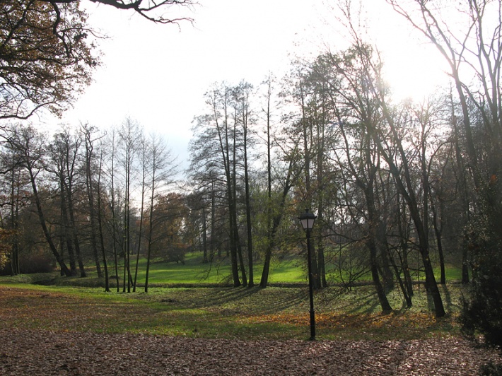zamek w Gołuchowie - park pałacowy