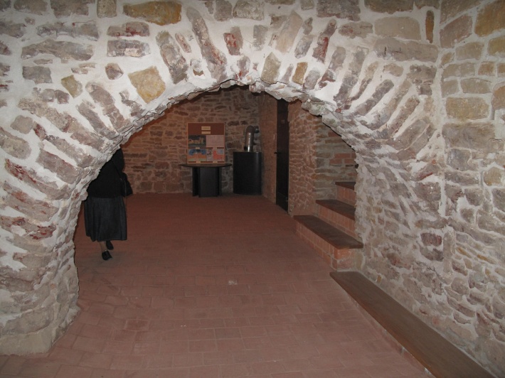 Ruina zamku w Inowłodzu - pomieszczenie w piwnicy