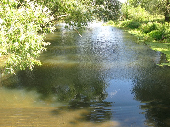 Rzeka Liwiec