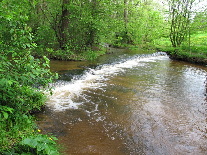 rzeka Tanew